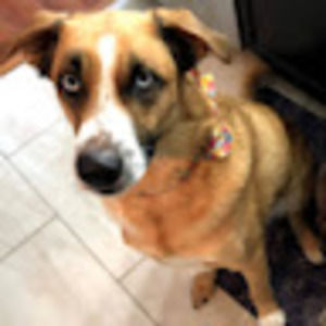 Meet your Posher, Chelsea